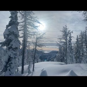 Meet your Posher, Caitlin